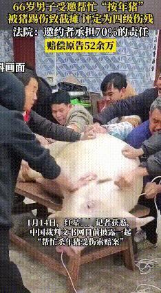 杀猪帮忙反瘫痪，责任划分有讲究
 四川合江70岁的老方，喊同村66岁的老方帮忙杀