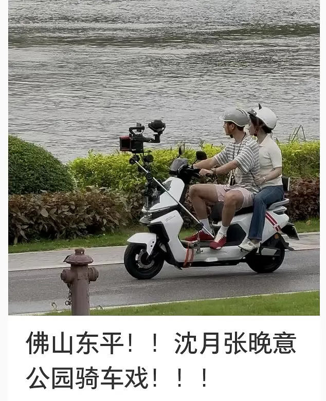 我去这看的我都