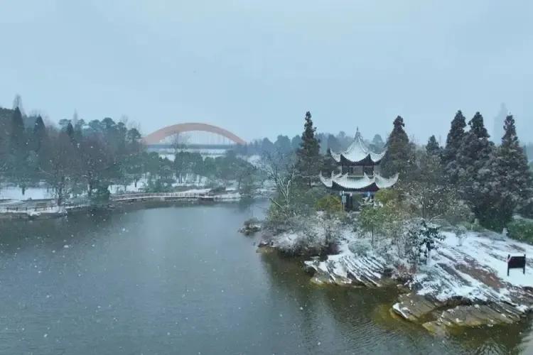 贵阳观山湖雪景，下雪了，好像又没有下，南方的朋友应该能懂[大笑][大笑]