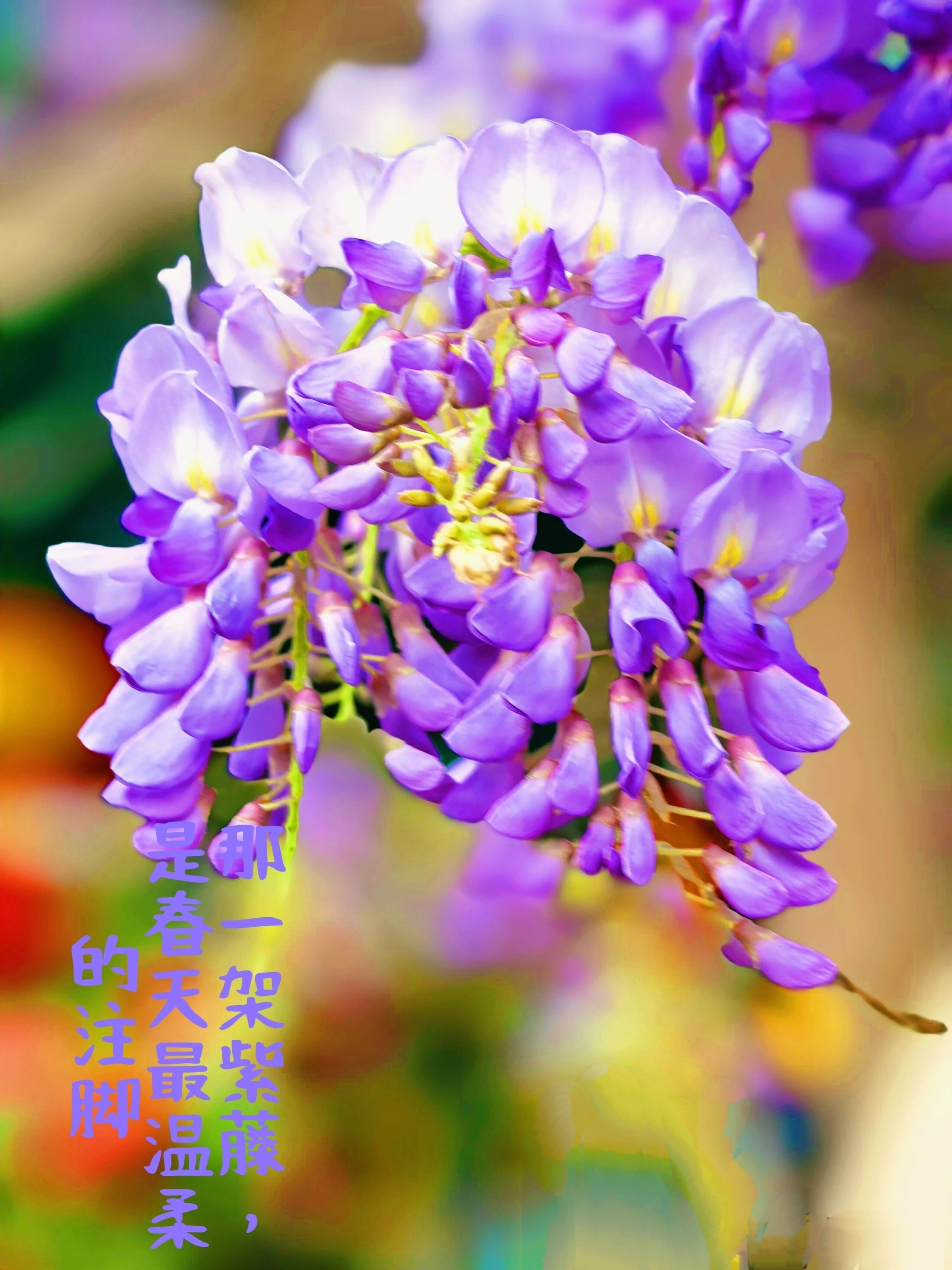 【求爸妈别再省了！夏天这些病都是省出来的】               （来源《