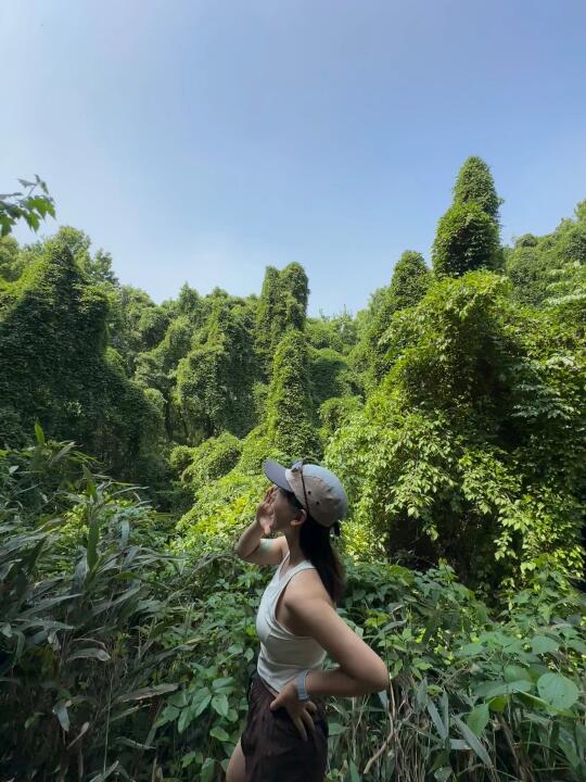 低成本的能量疗愈：就是去山里 🌳