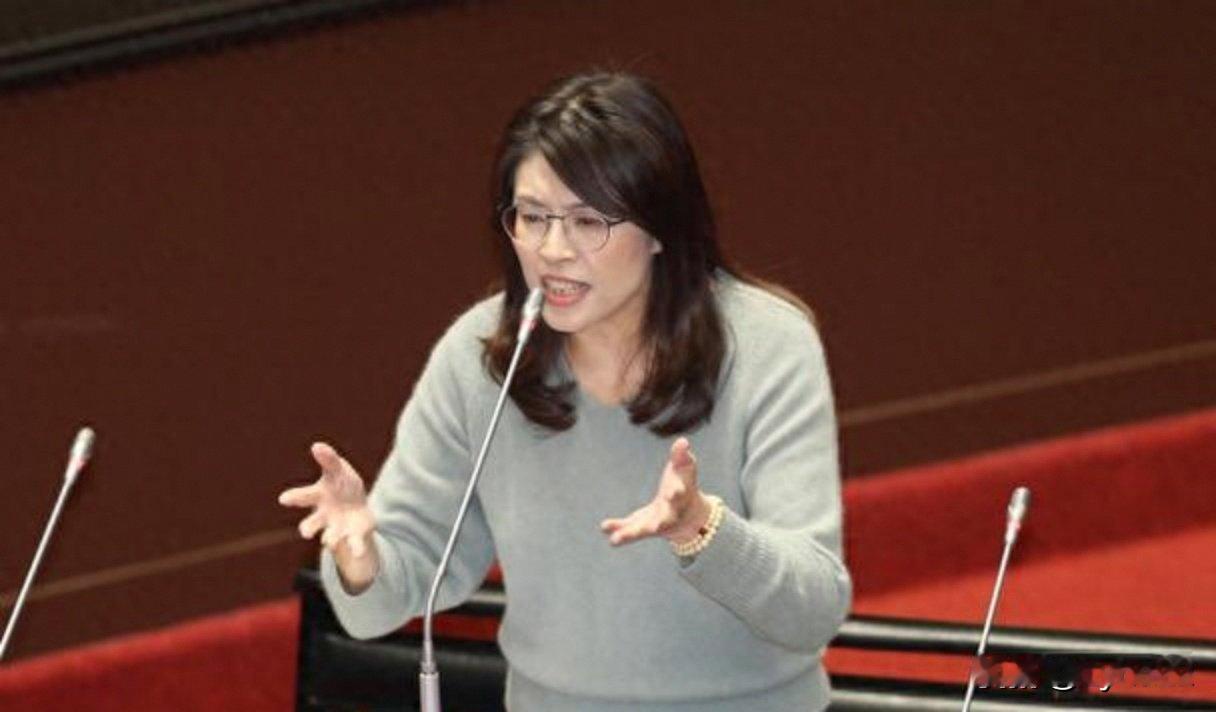 赖清德窜访斯威士兰受阻后，国民党、民众党内都有人跳出来指责大陆压缩了台湾的国际空