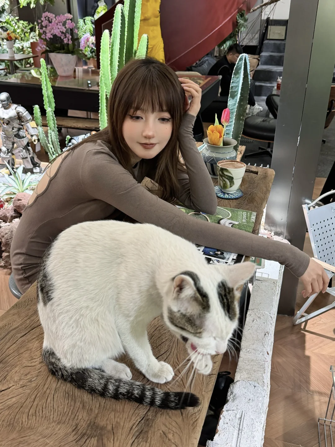 没有人可以拒绝小猫咪