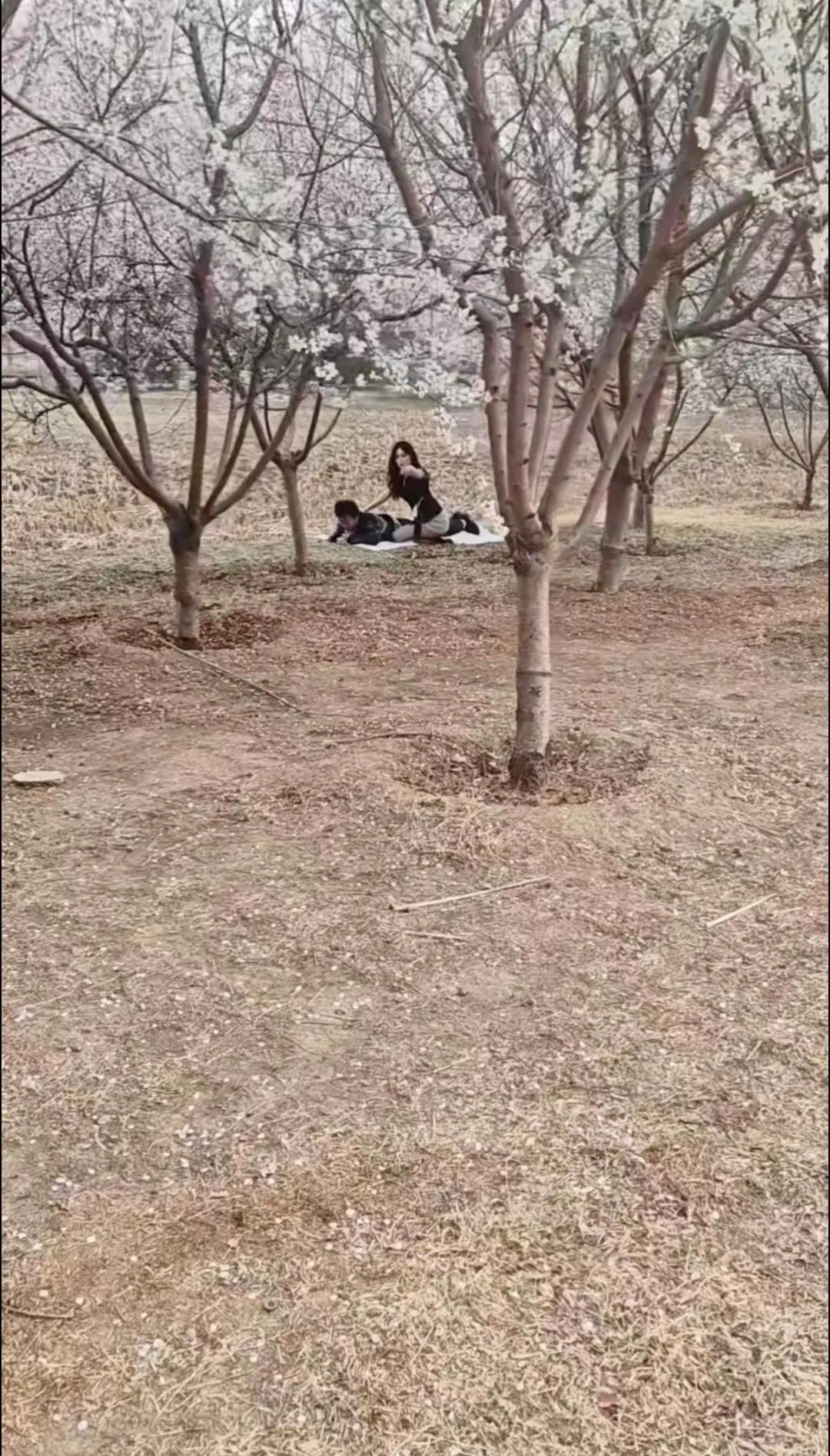 你瞅啥？瞅你咋滴？