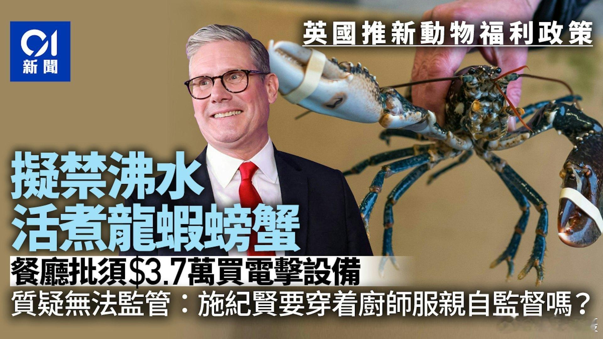 英国餐厅业哀嚎：需花3500英镑电击设备！英国环境大臣雷诺兹12月22日宣布新的