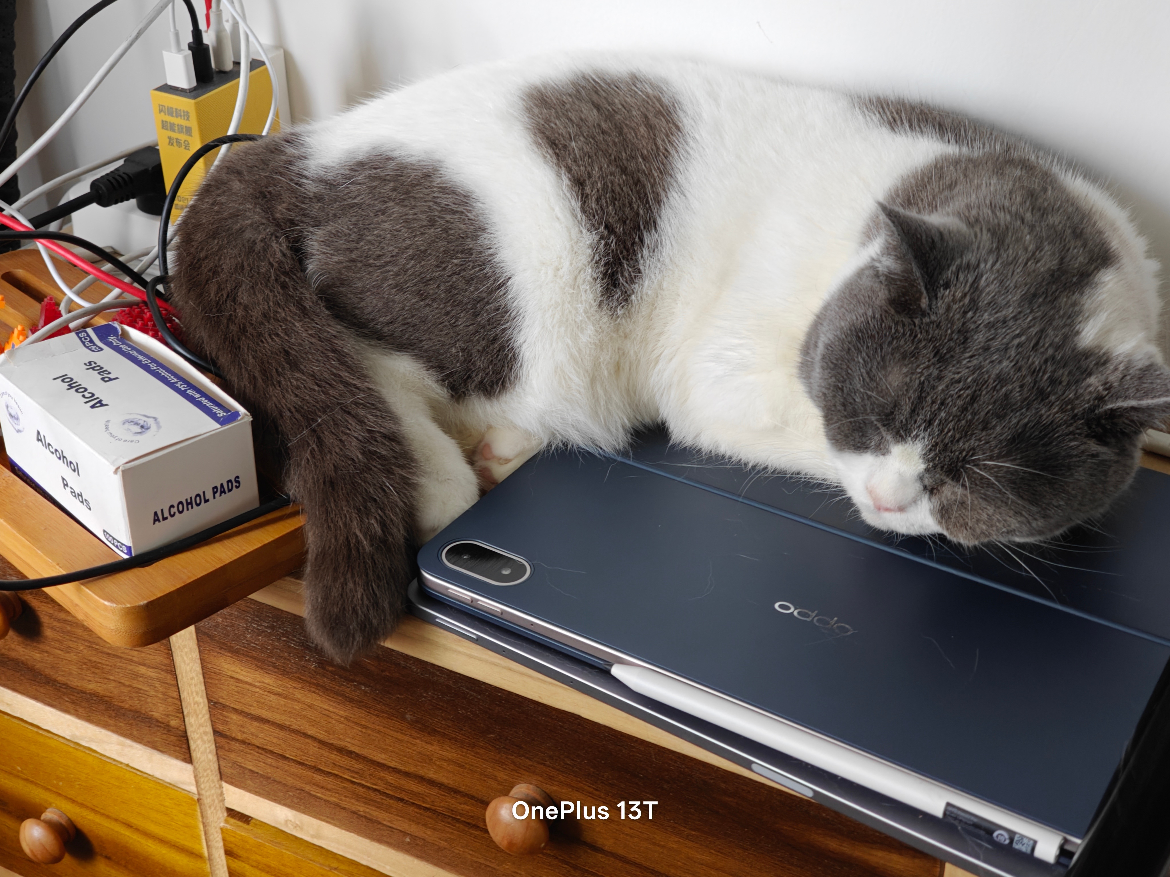 不愧是数码博主养的猫，睡觉都得躺在平板上睡[喵喵] ​​​