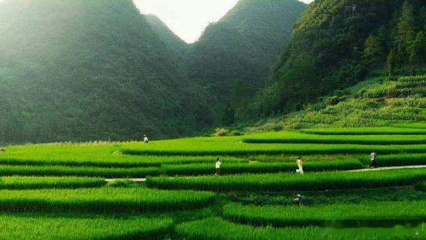 小芳带动取景地贵州荔波、雷山旅游爆火？这就是收视率连续8天TOP1的实力吧~看过