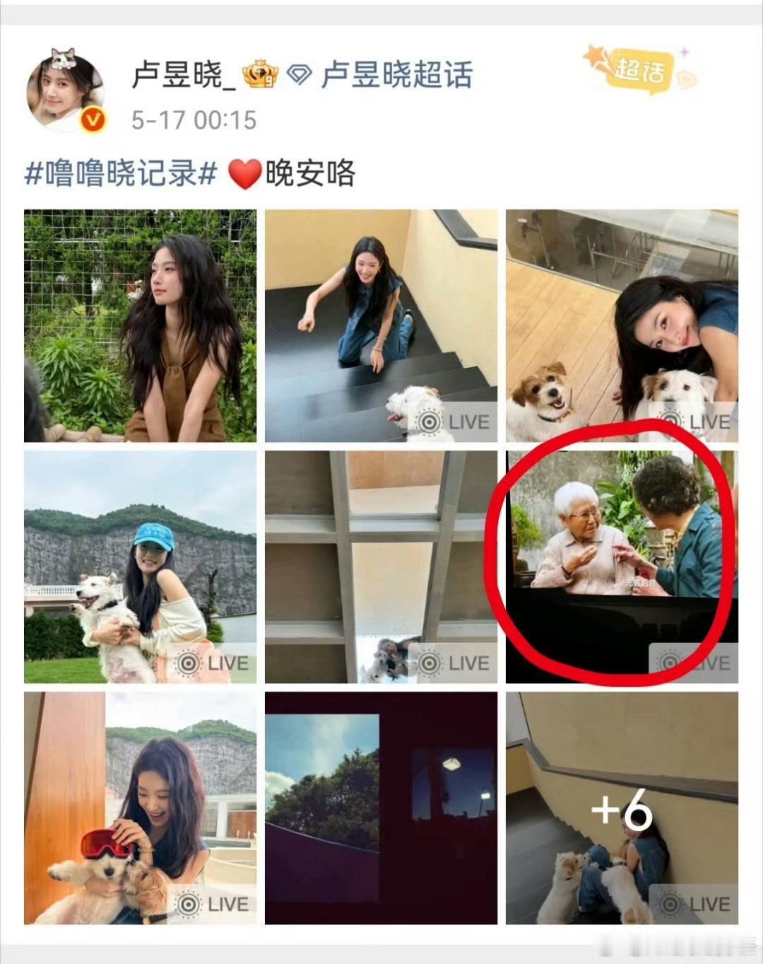卢昱晓发了给阿嬷的情书，被审判盗摄了 