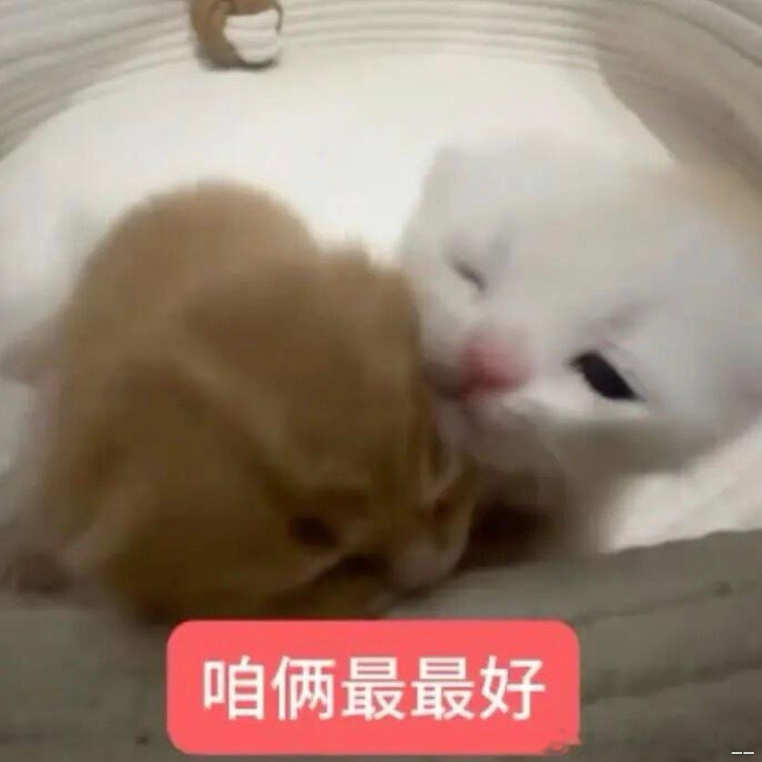 哎呀谢谢女神!