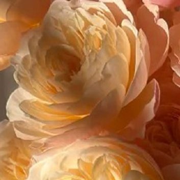 真正让人变好的选择，过程都不会很舒服。你明知道躺在床上睡懒觉更舒服，但还是一早就