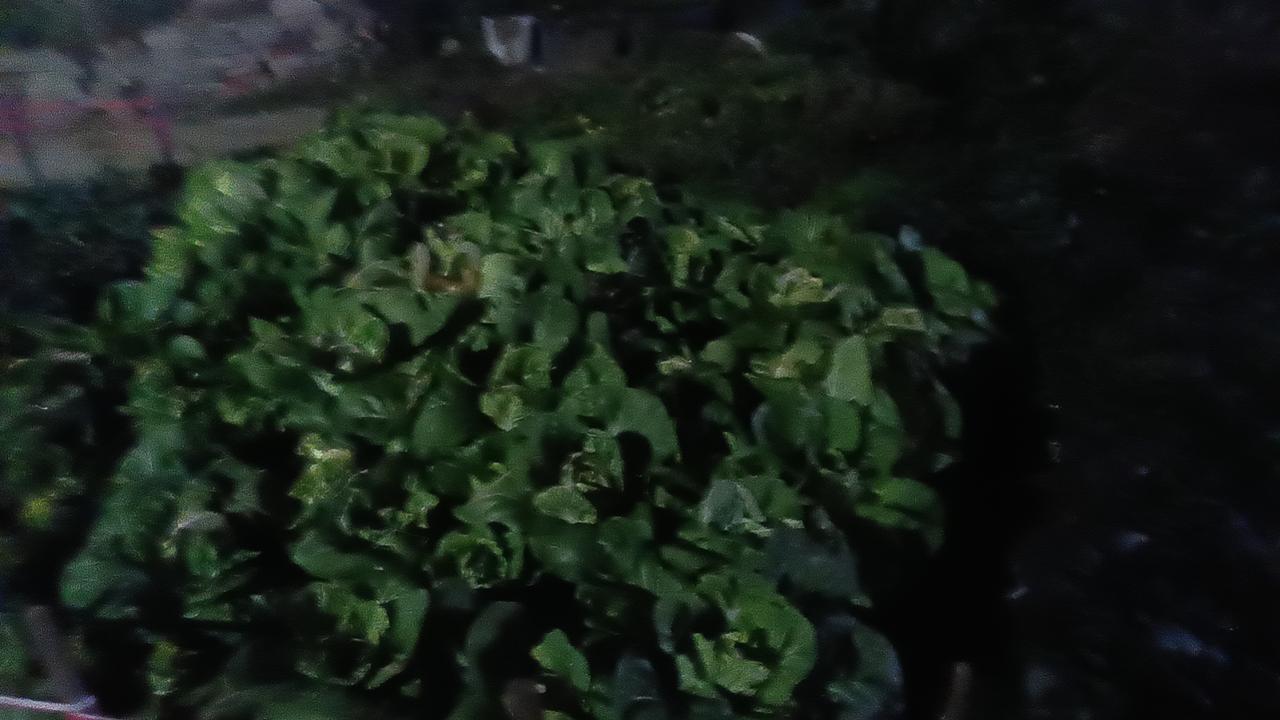 每当冬天来临，城市变得安静而纯净，空气中弥漫着一种特别的清新感。这个季节，或许没