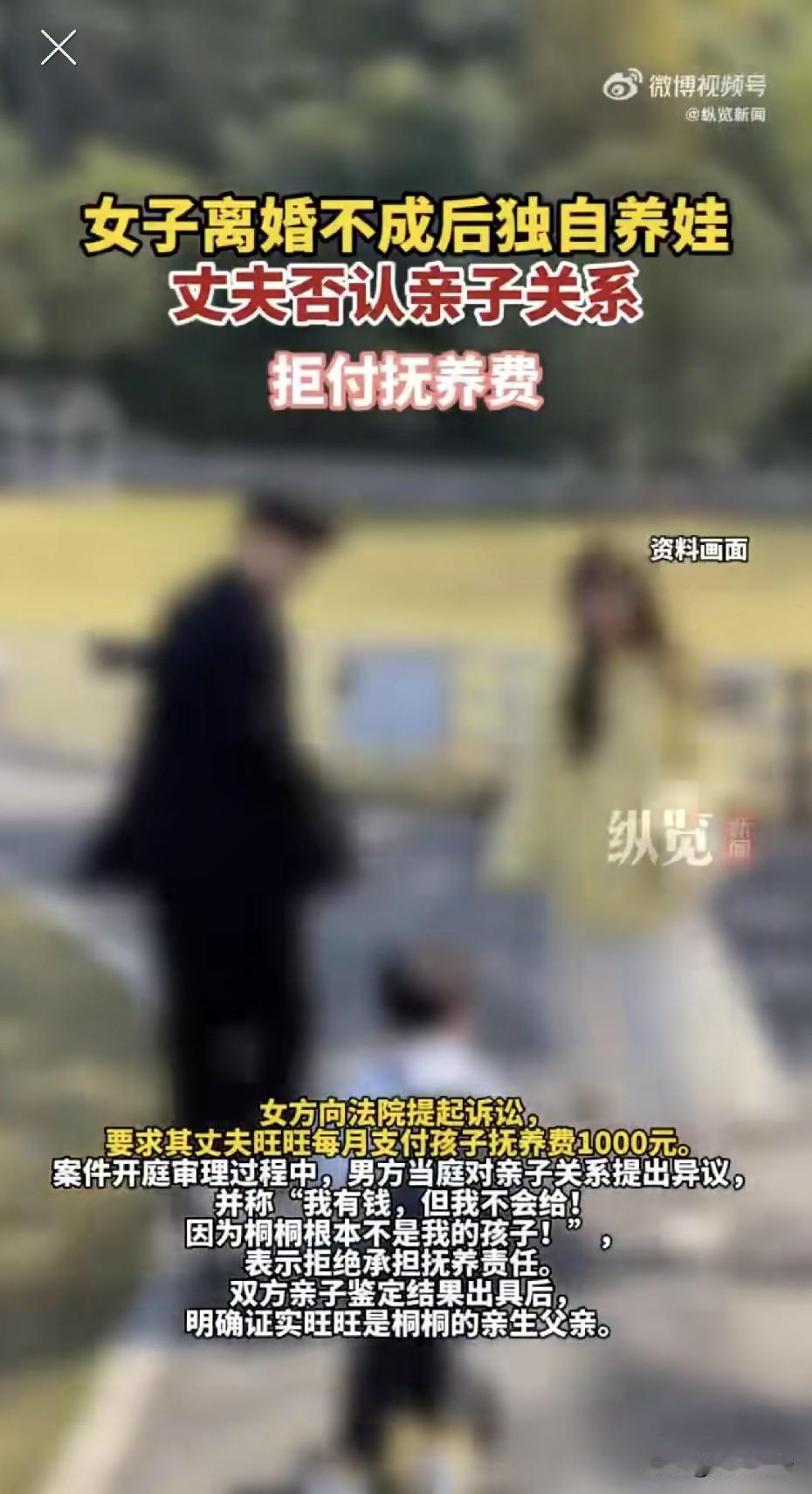 女子起诉离婚被驳回独养娃，丈夫法庭上拍桌子喊“有钱也不给，孩子不是我的”，亲子鉴