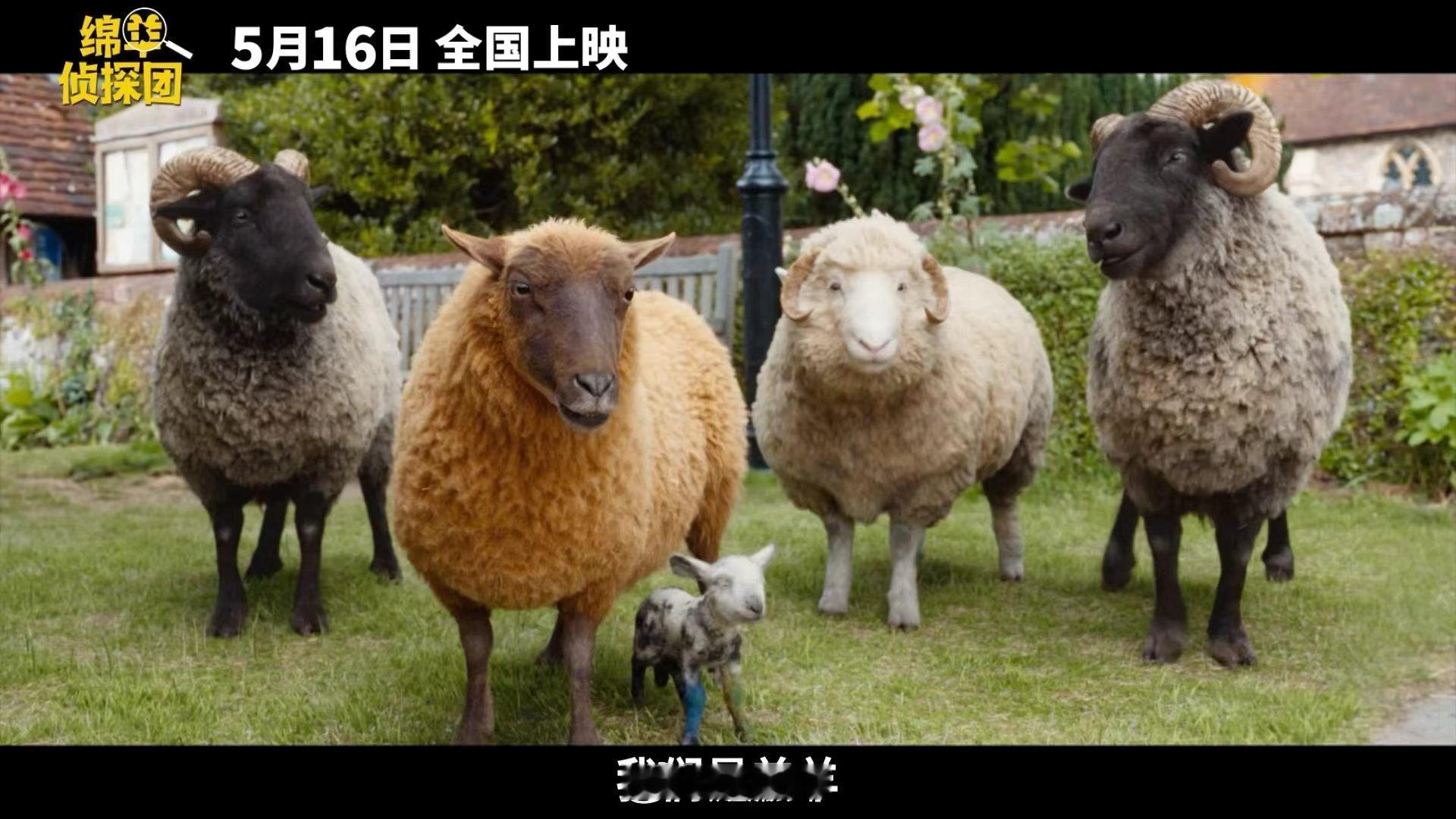 金刚狼给羊打工谁懂离谱又上头的设定！休·杰克曼化身牧羊人给羊群打工，天天念侦探故