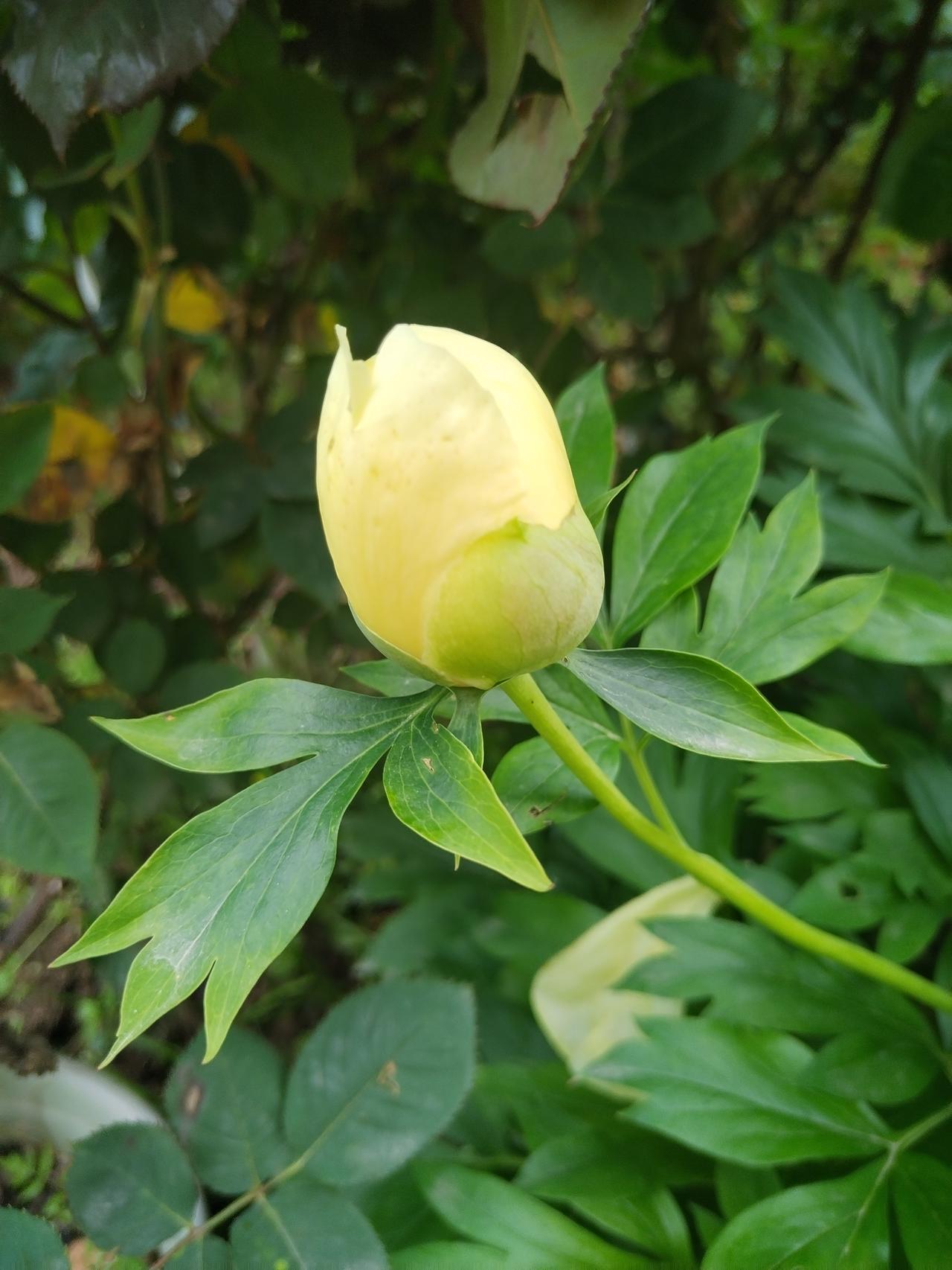 【趣联联趣】
上联：荔枝，外化青红晕
下联：？
【一字千金】
《夏日过山家》
青