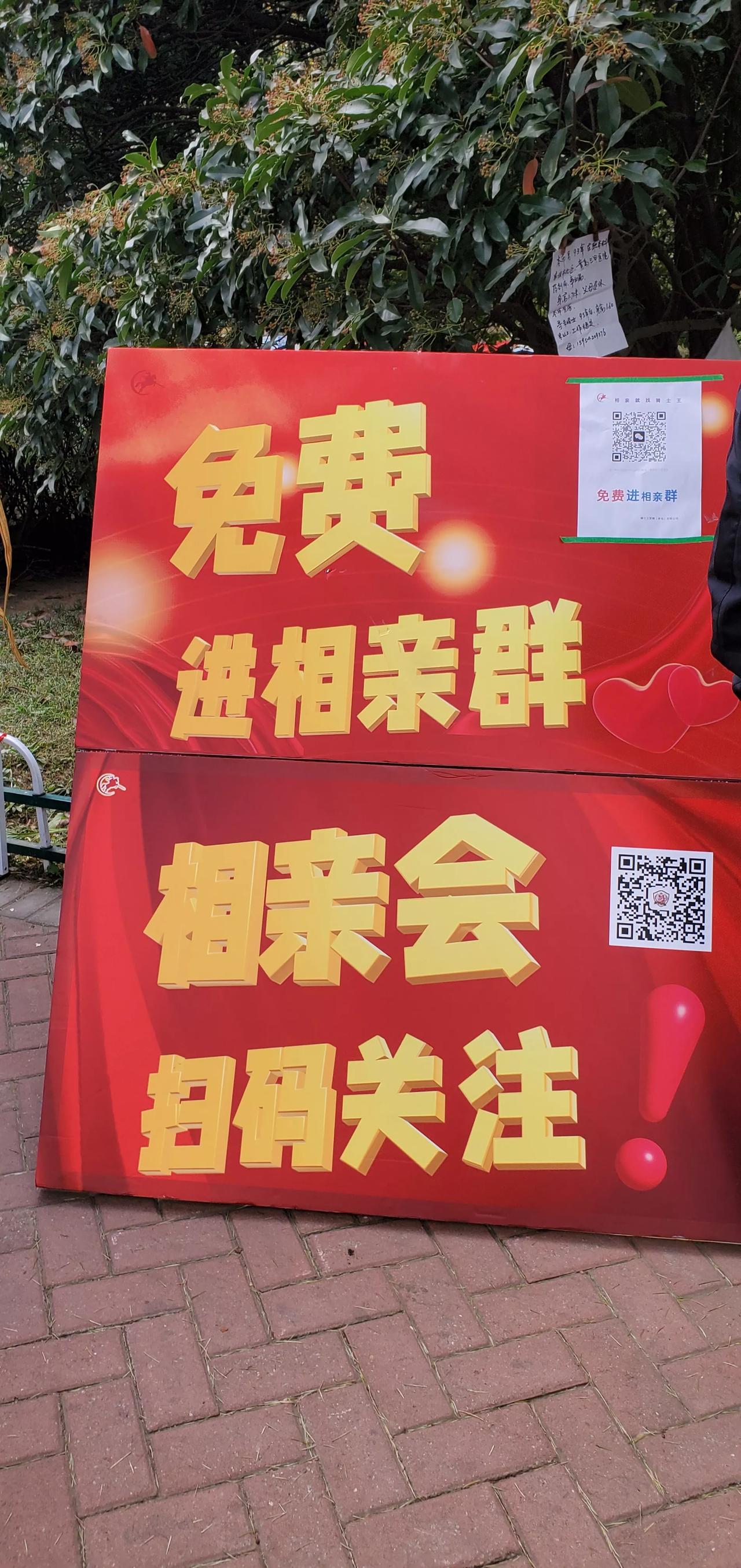 王铎：青岛最大的相亲会（下）