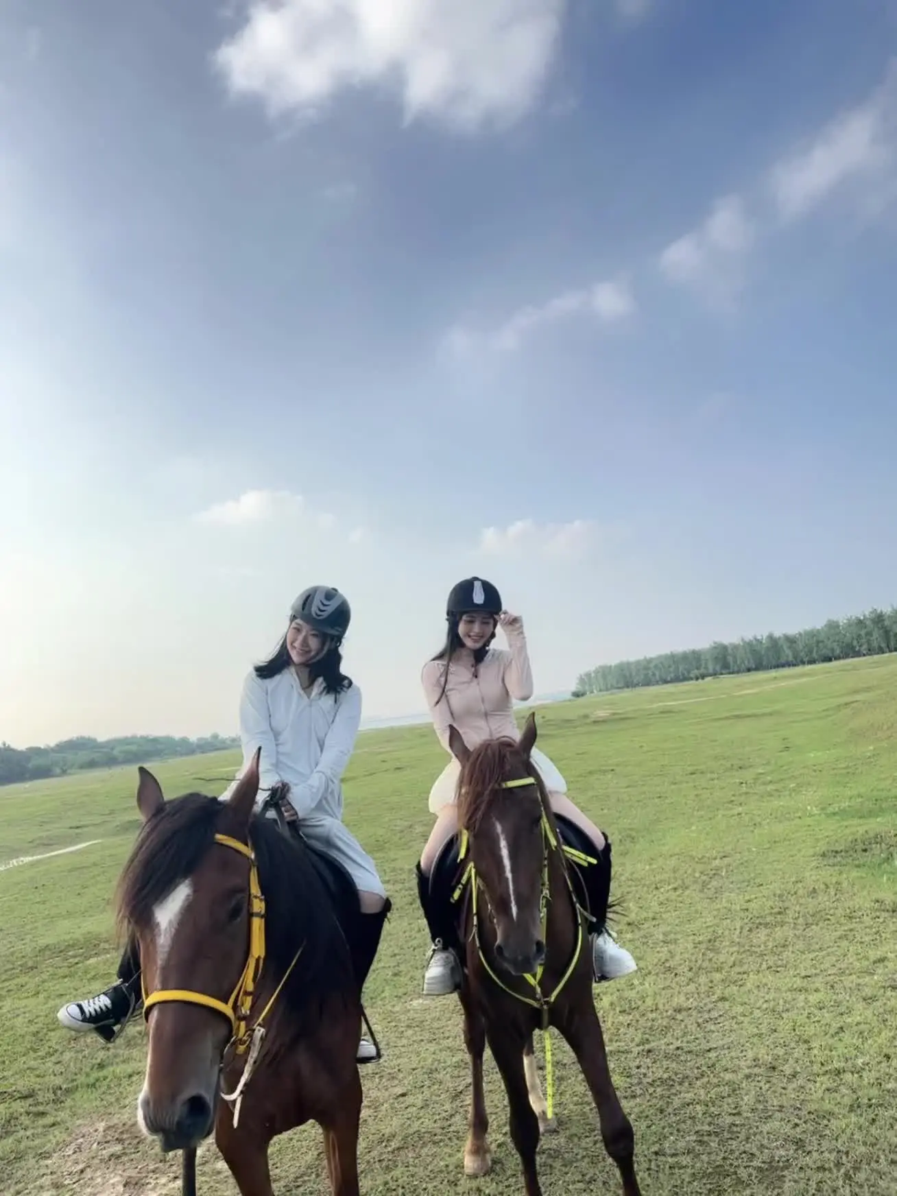 让我们红尘作伴🐎