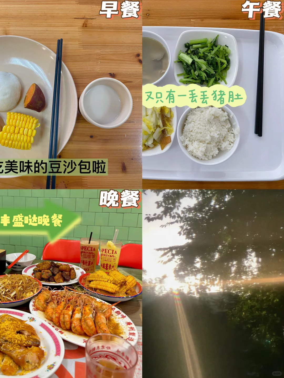 📅11.22｜ 好好吃饭｜模考前的放纵