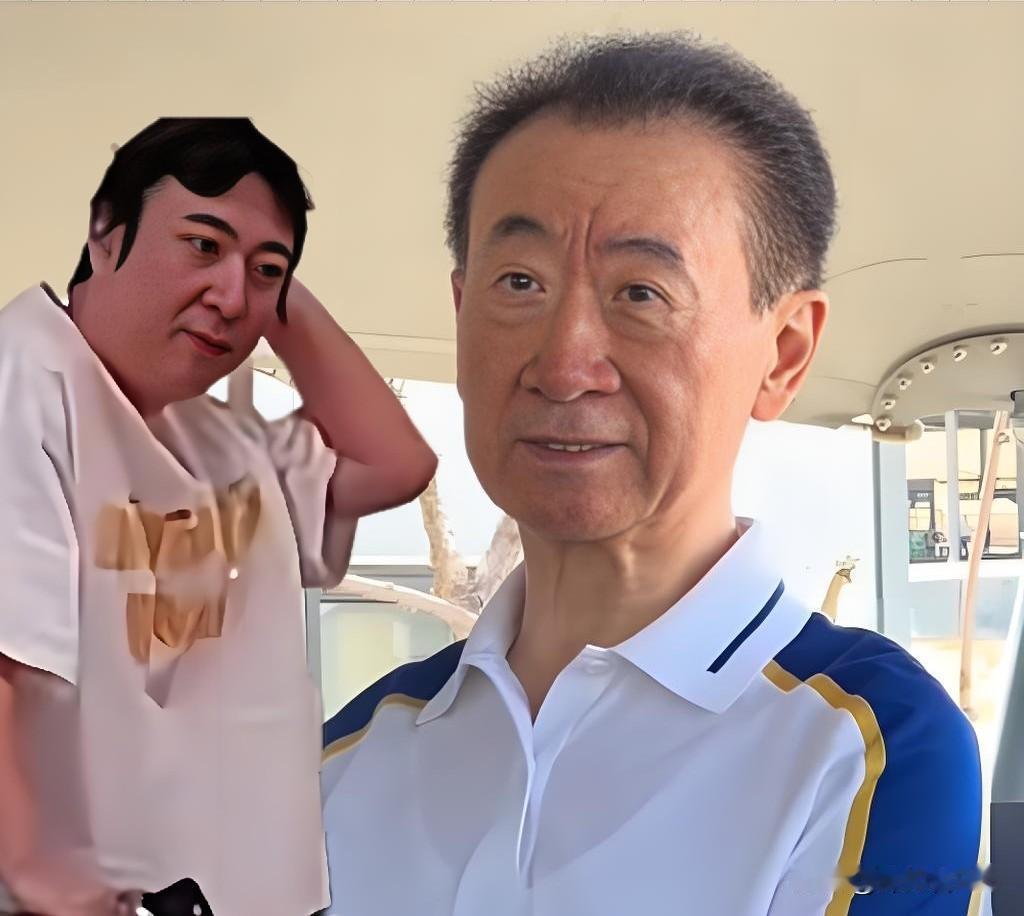 王思聪藏不住了：发际线后移三公分

“万达电影”改名，父亲负债累累，少东家身份不