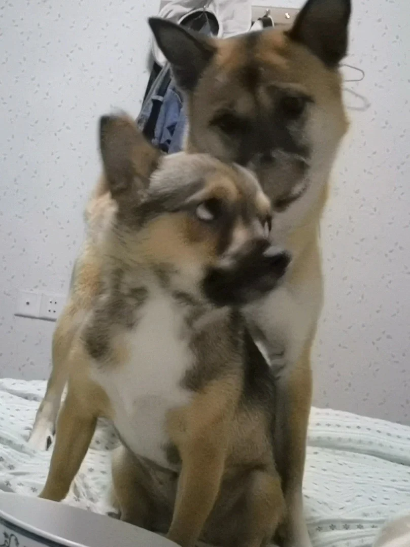 妈咪酱不知怎么我一要吃饭就觉得背后扎刀子