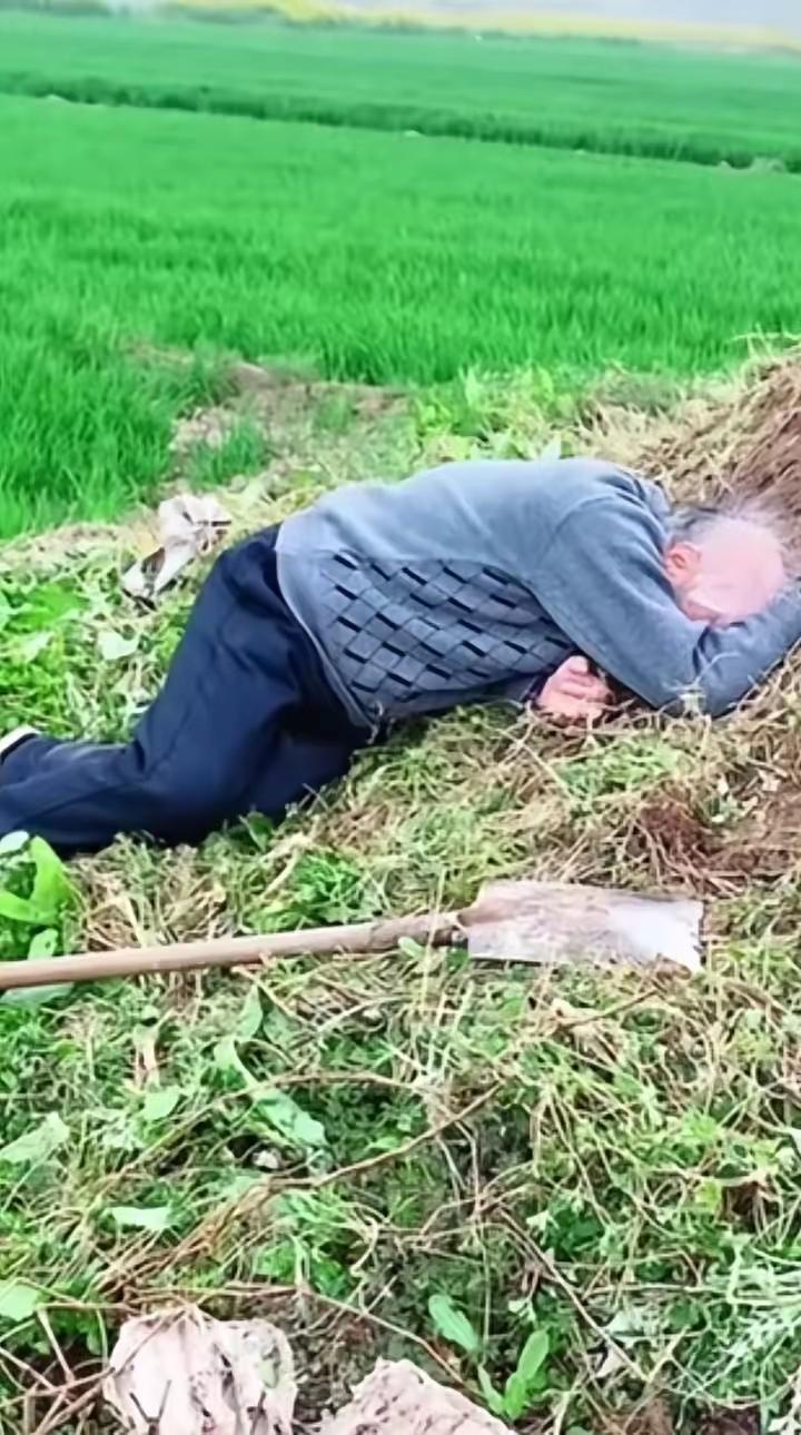 泪目，80岁老人非要给父母上坟，半小时的路，磕磕绊绊走了2小时，上完坟趴在坟前嚎