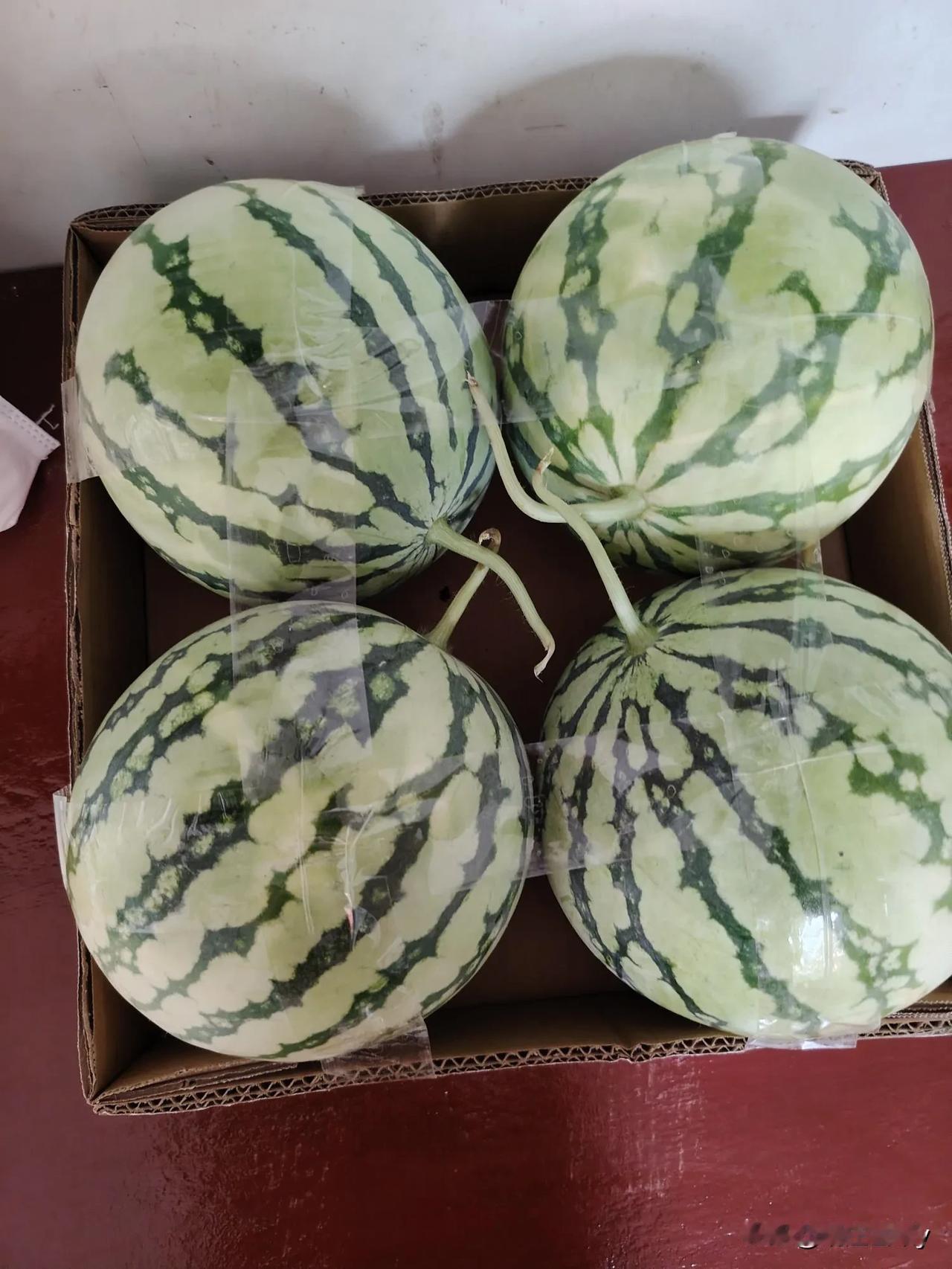 老公去首衡捡完菜叶子，又去水果行看看，昨天我跟他说了一嘴，说想吃火龙果了，去看了