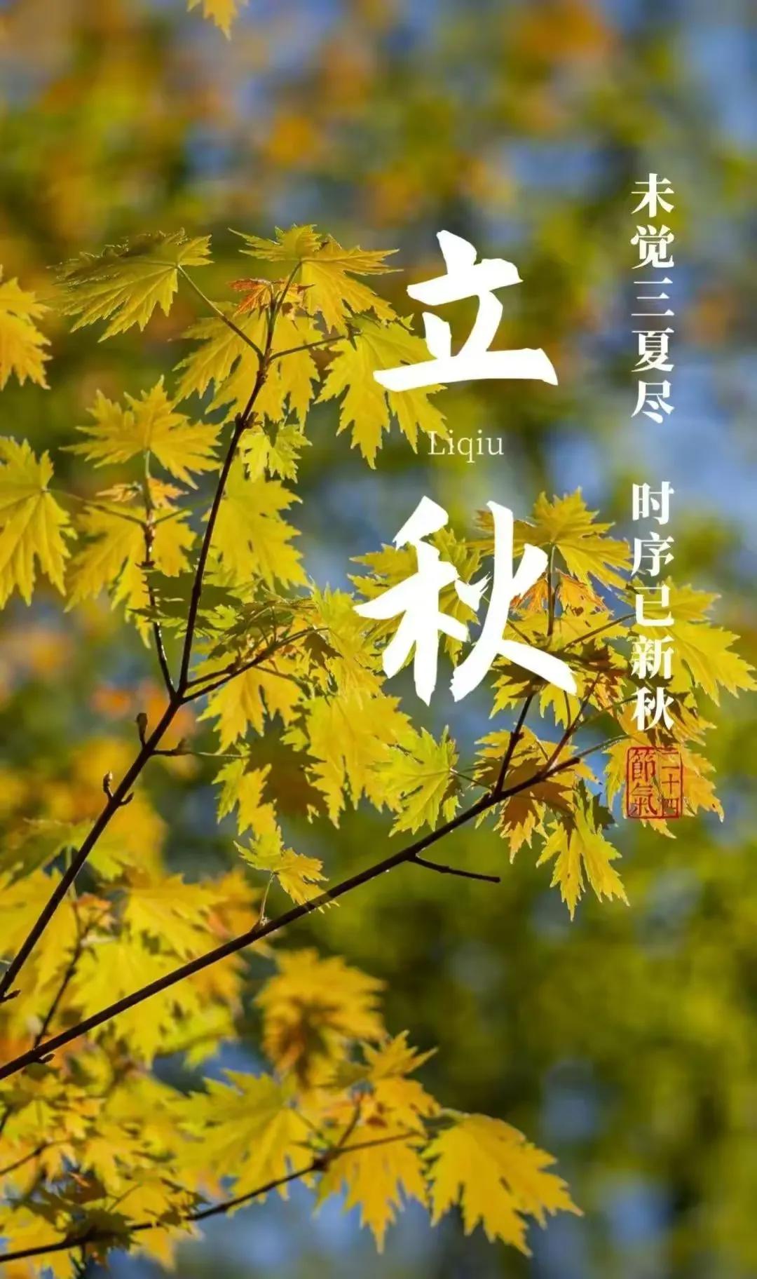 夏意未尽，秋风已至。

落叶之秋，微风徐来。夏天的遗憾，终将被秋风温柔化解，所有