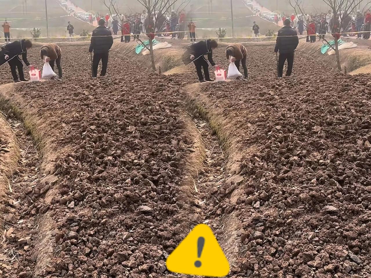 真是开眼了！
合川呆呆家杀猪宴刚落幕，
就有人干起了“薅土”的恶心事——挖走门口