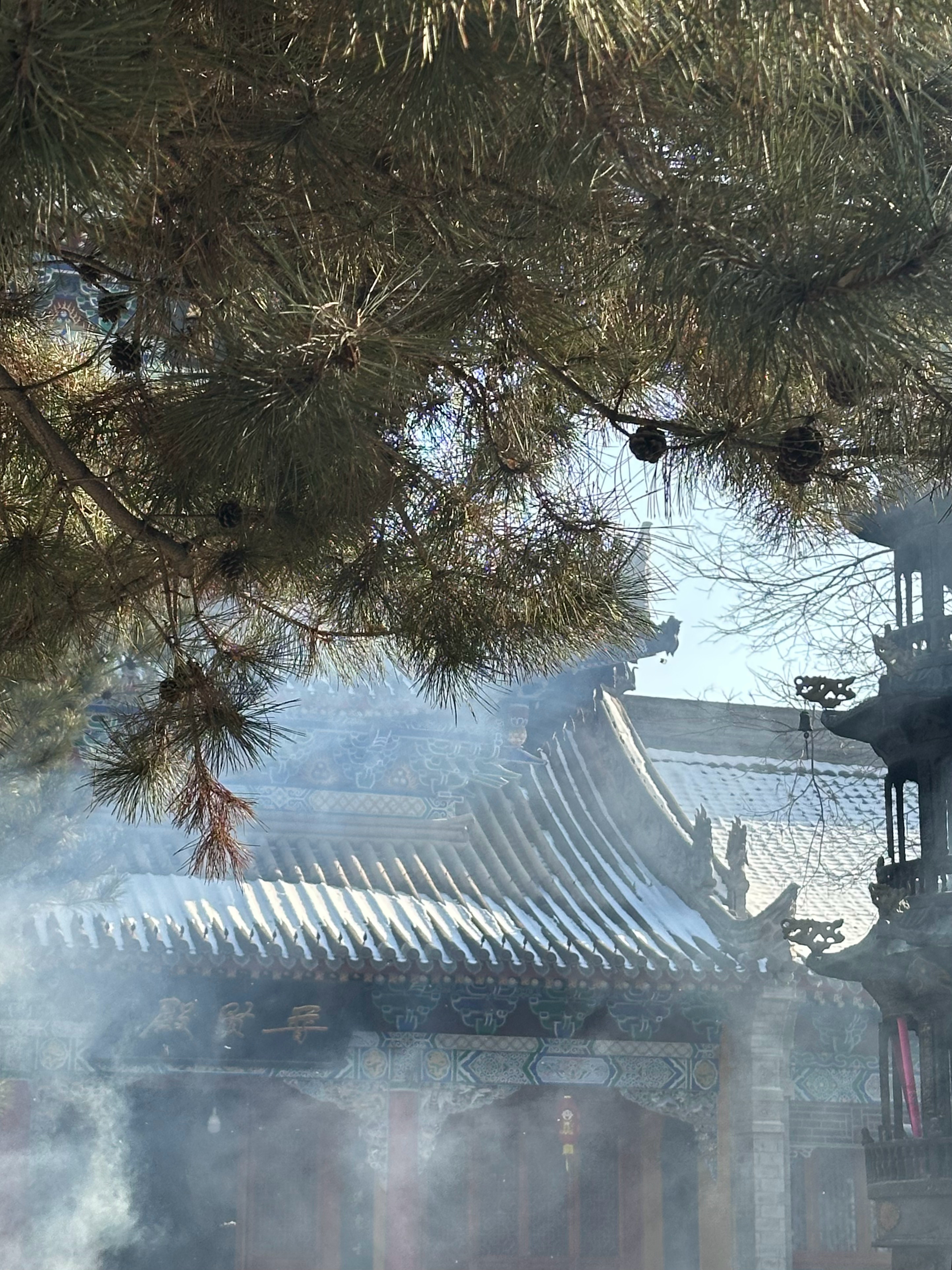 愿卿安，祝卿昭。 
