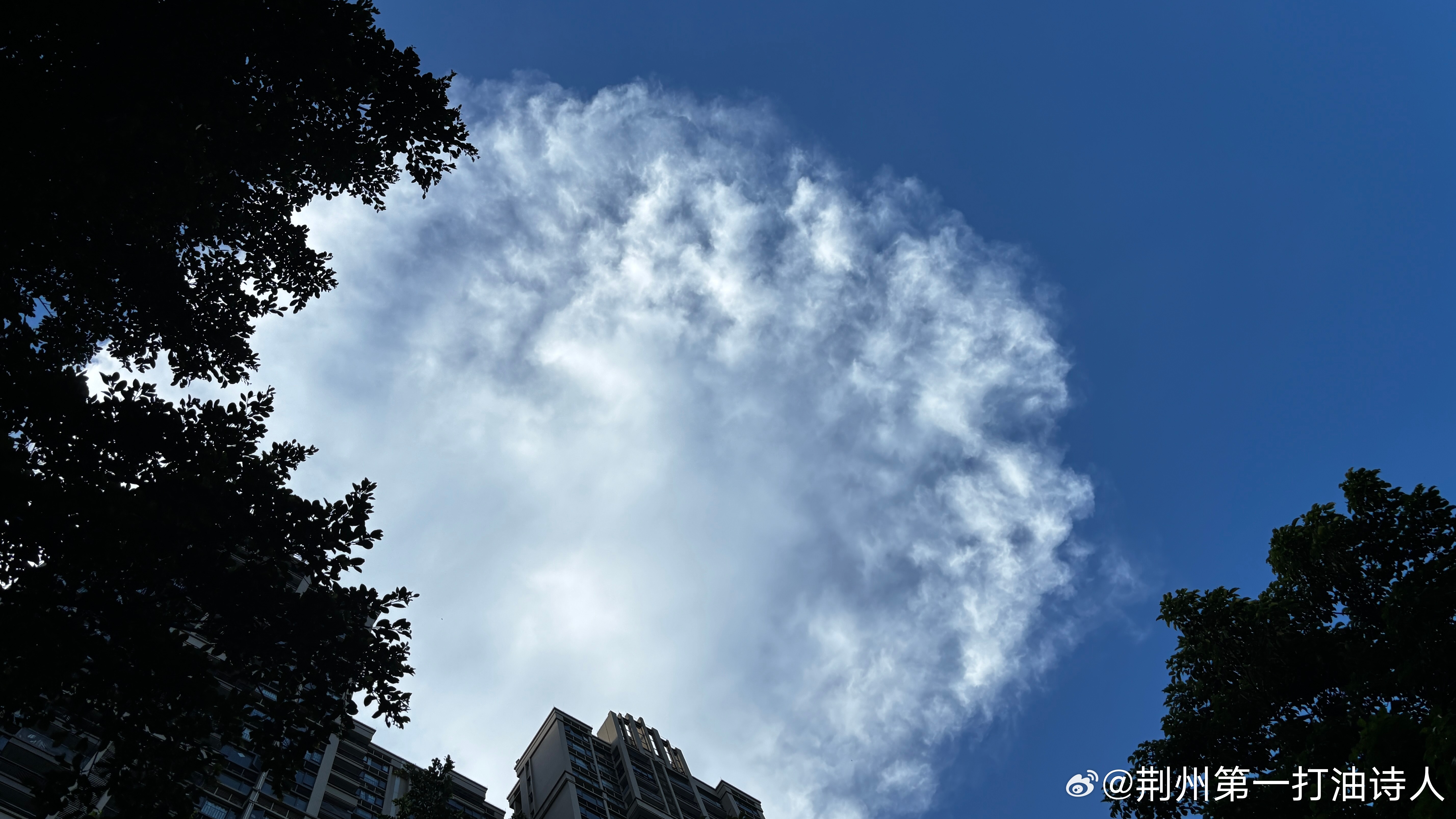 寸土脚下皆可源，先民也曾笑语喧。纵然征乱如牲口，一生苟活事从权。        