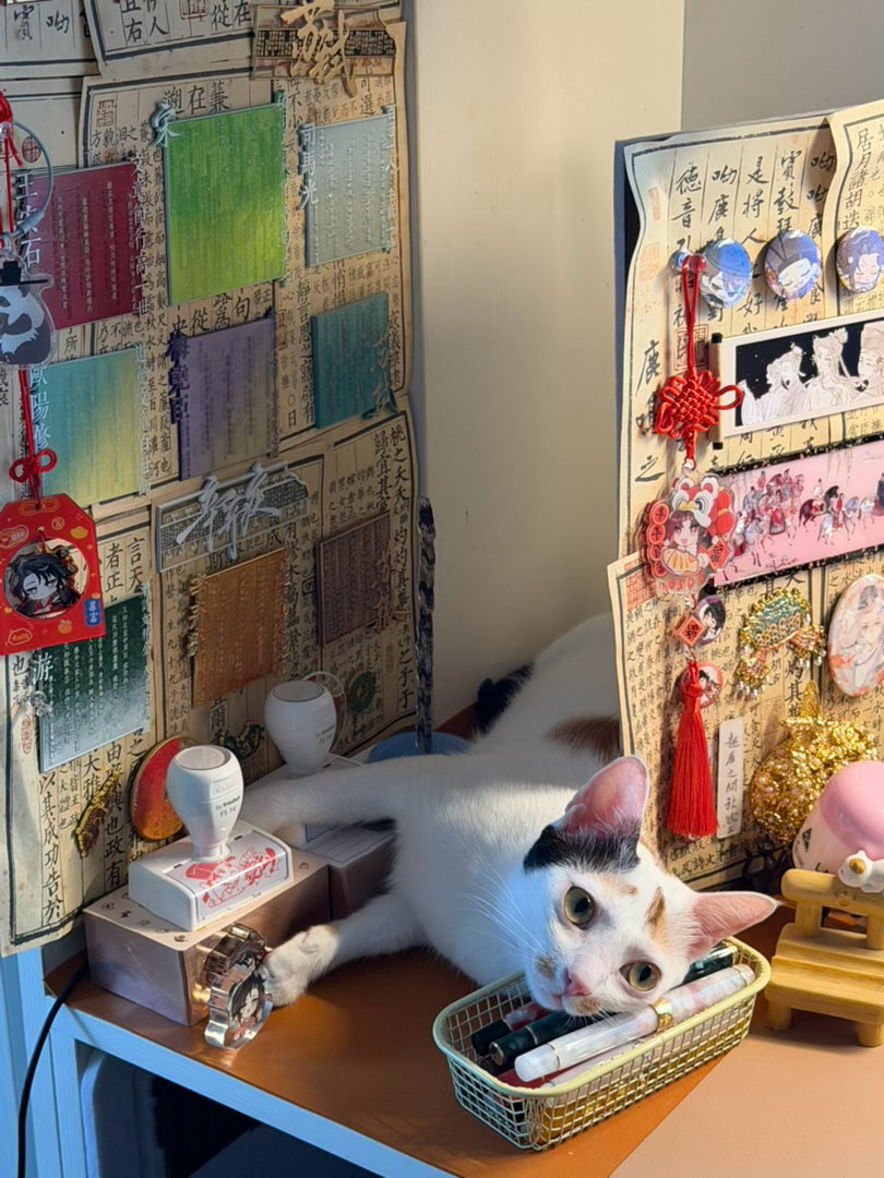 今天份的《食明》也更新了！顺便抄书打卡55/1000还是没忍住买了可以打印内页的