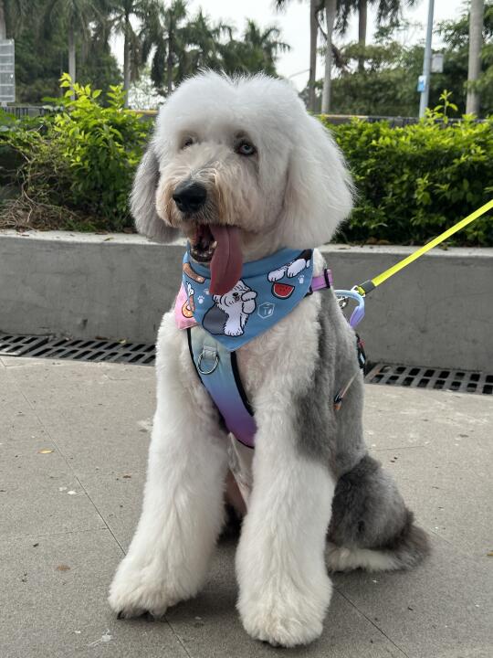 剃毛瞬间显嫩，又要被人问“是不是巨贵”了