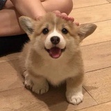 芬儿读读体育