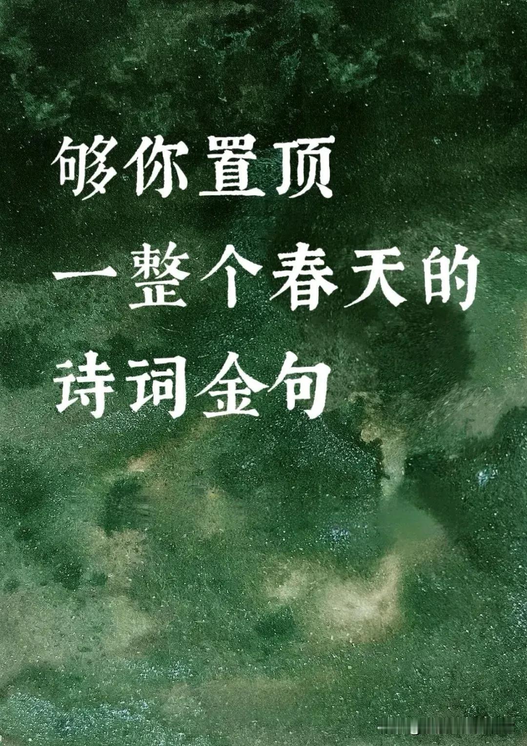 春日生活打卡季