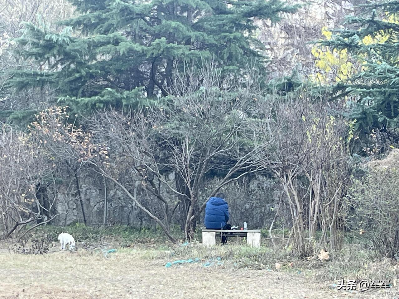 还有人喜欢这样式休闲！

一人，一狗，就这样默默地坐着。

今天去大城山公园散步