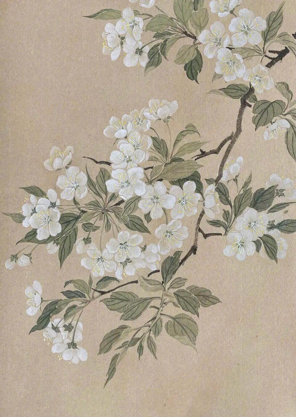 陈沐恩画笔下的东方写意花鸟 