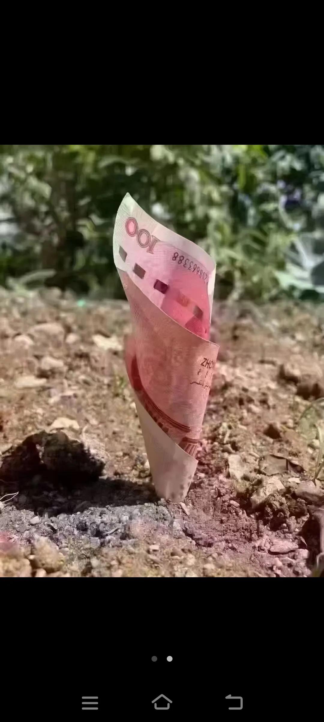 忽然想起来今天是植树节，突发奇想，咱也跟跟风，种下了一些，大家帮忙估算一下，我能