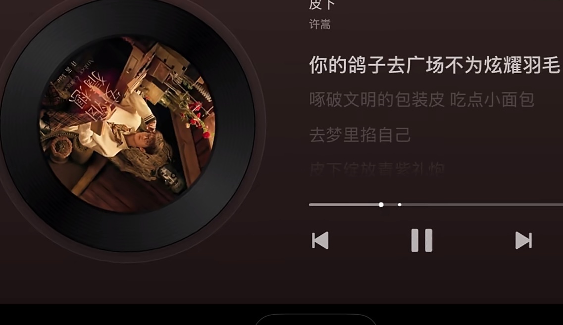 许嵩皮下用医学视角写社交伪装“你的鸽子去广场不为炫耀羽毛，啄破文明的包装皮，吃点