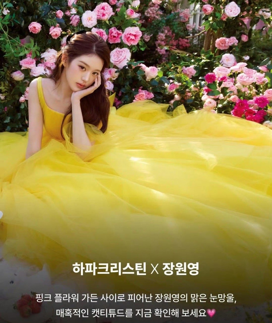 这个公主头好饱满好漂亮啊啊 贝儿公主即视感 