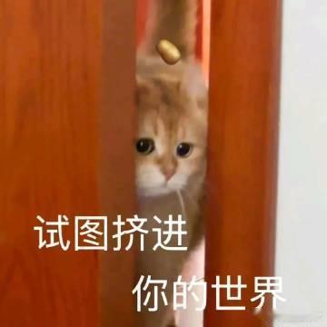 自从迷上了Sportcation 上周跟对象去玩了漂流加徒步，以前我俩约会总想着