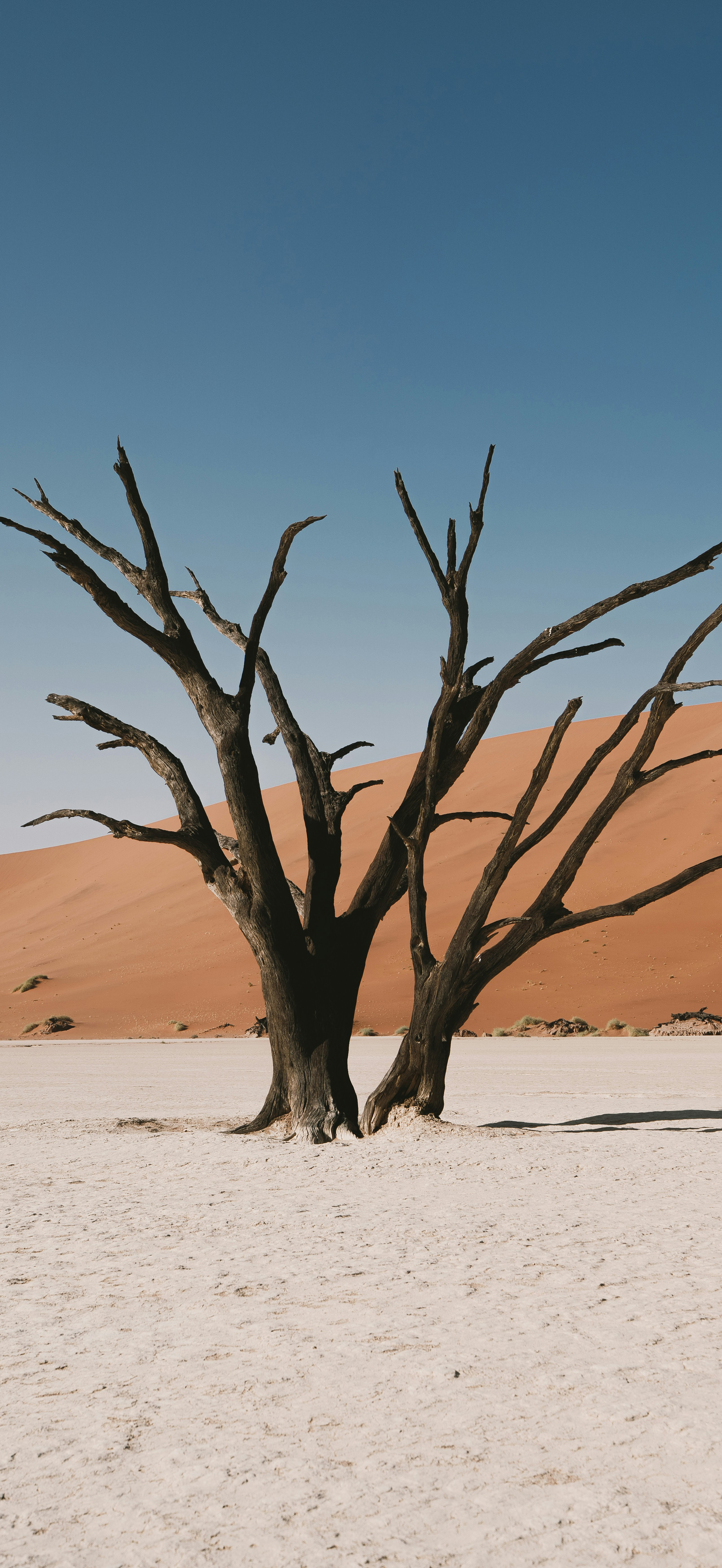 又是新的一周，大家早安风景壁纸