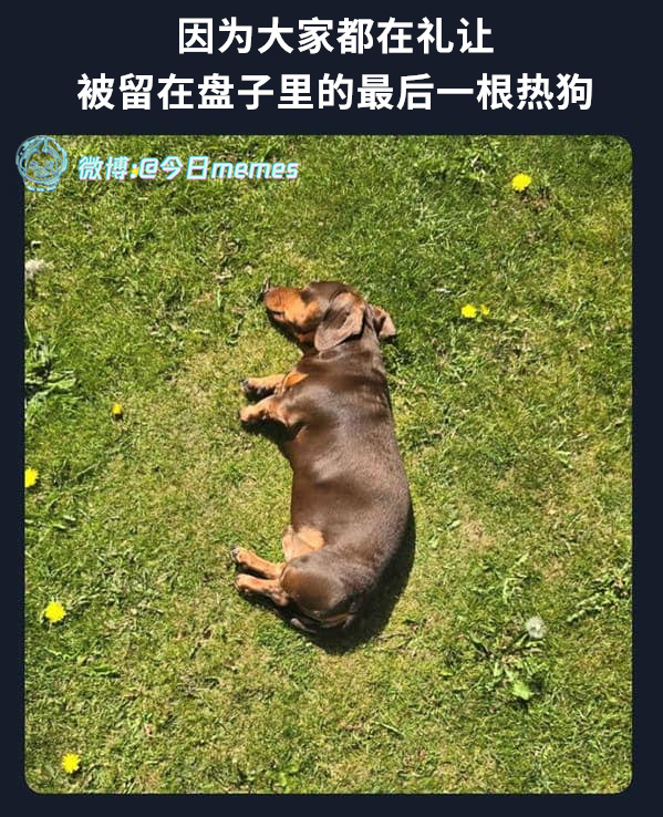 我随意（9gag）今日meme[超话]今日memes ​​​