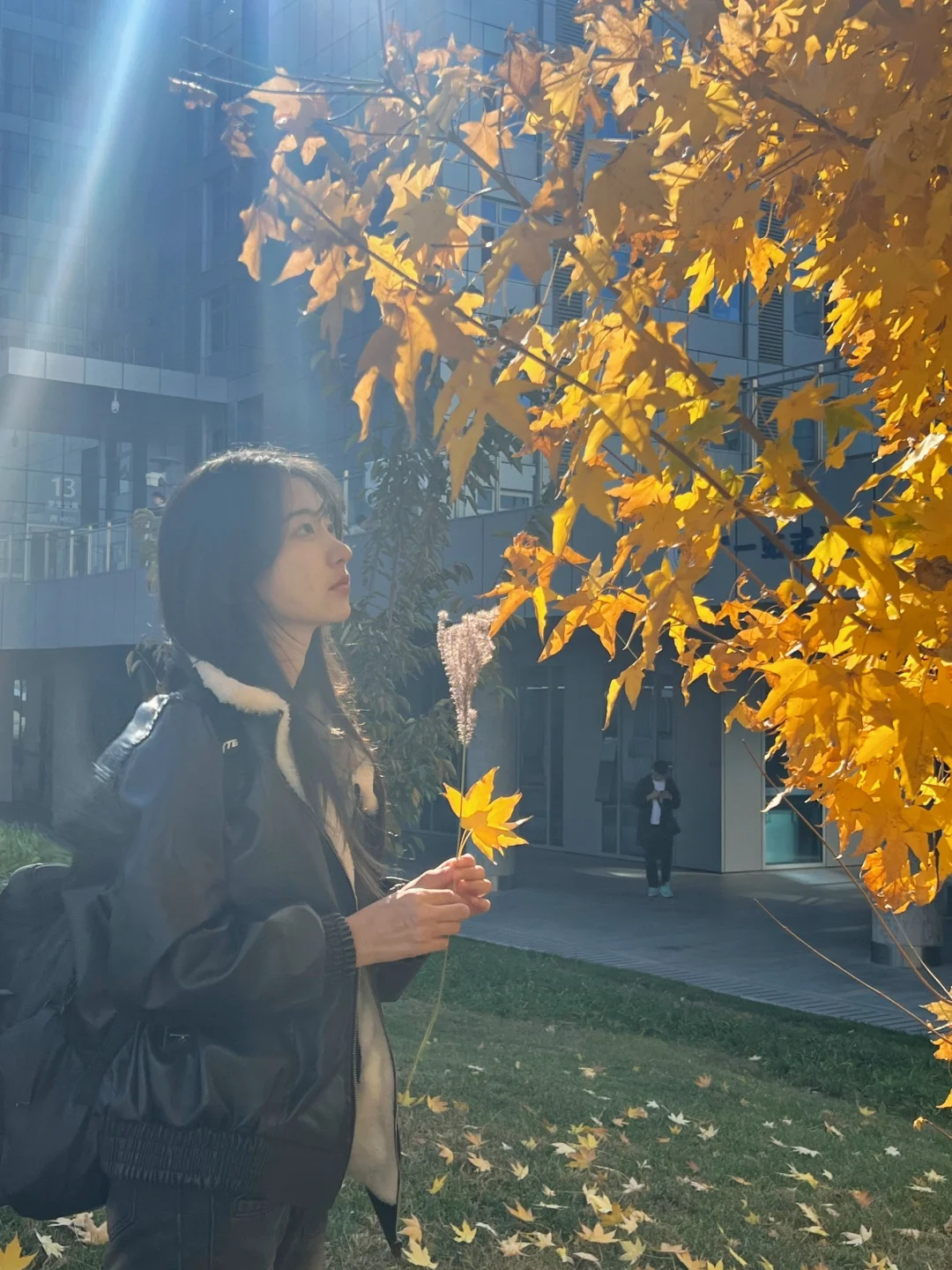 北航大三｜📭想在秋天收到你的回信✉️