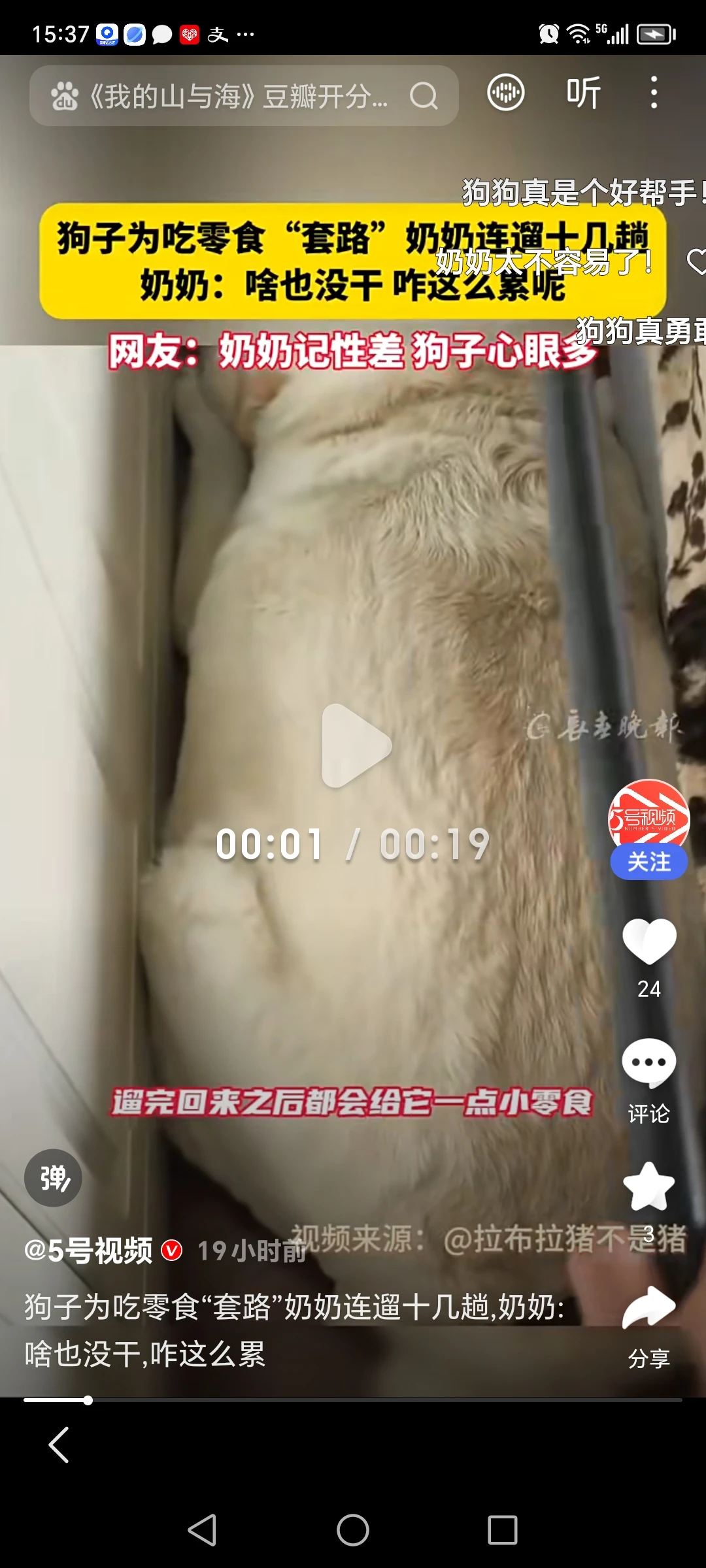 柯基为吃零食，把奶奶遛成“表情包”