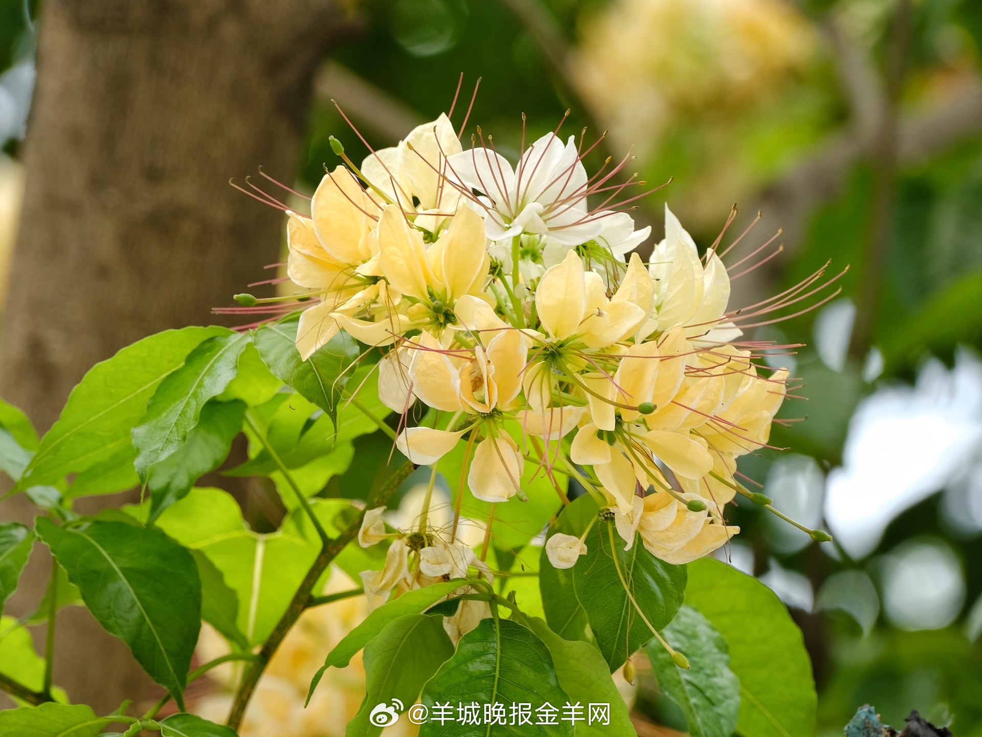 #晚安#人生最珍贵的，从来不是得到多少，而是终于找回自己，你值得被自己好好爱着。