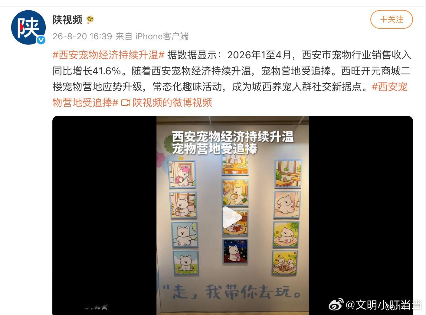 西安宠物经济持续升温 西安的商场，常态化趣味活动，真的有味。 