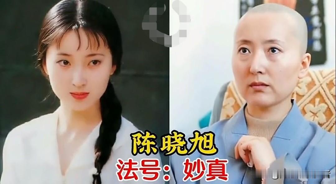 在星光璀璨的娱乐圈，有这样一群人，他们曾是聚光灯下的焦点，却最终选择剃度出家，告