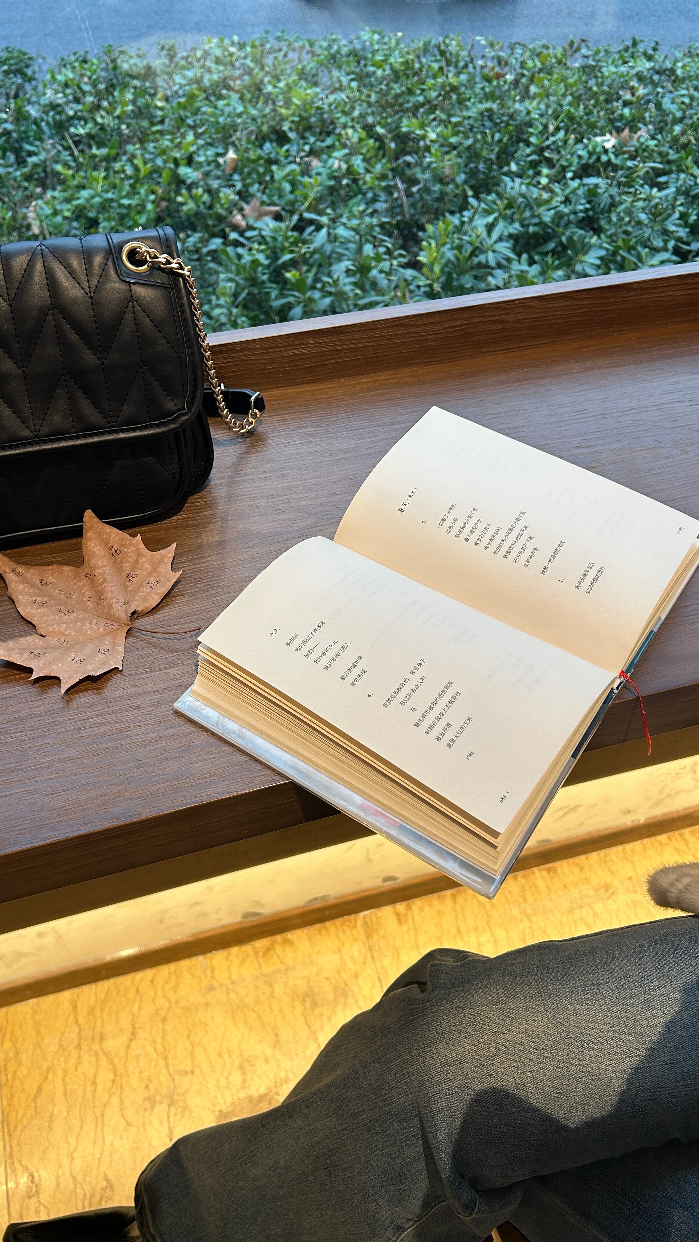 《一片树叶》 南京