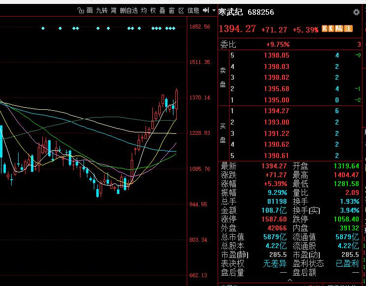 寒武纪大涨 下午见证寒武纪登基股王。