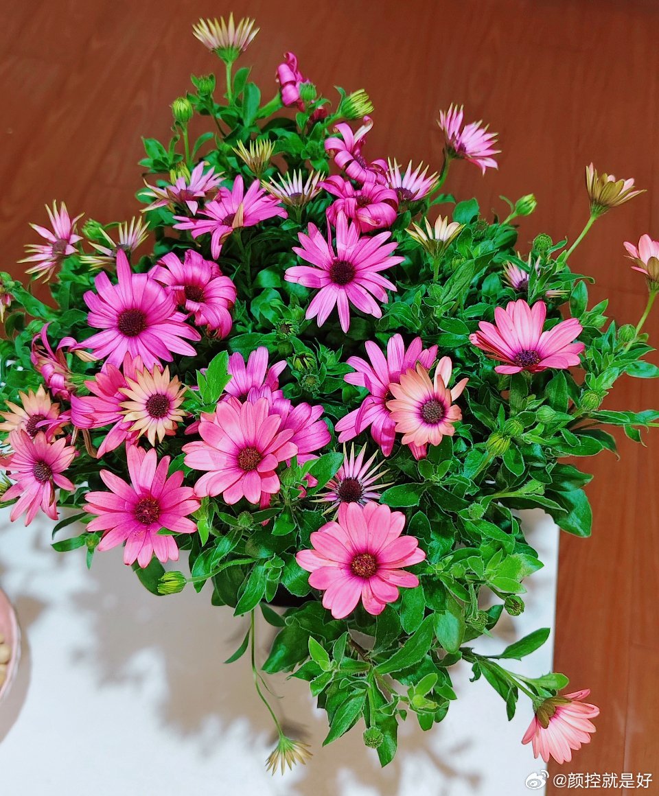 终于是三月的最后一天了，不知道是不是我的错觉，总觉得三月过得好慢。 