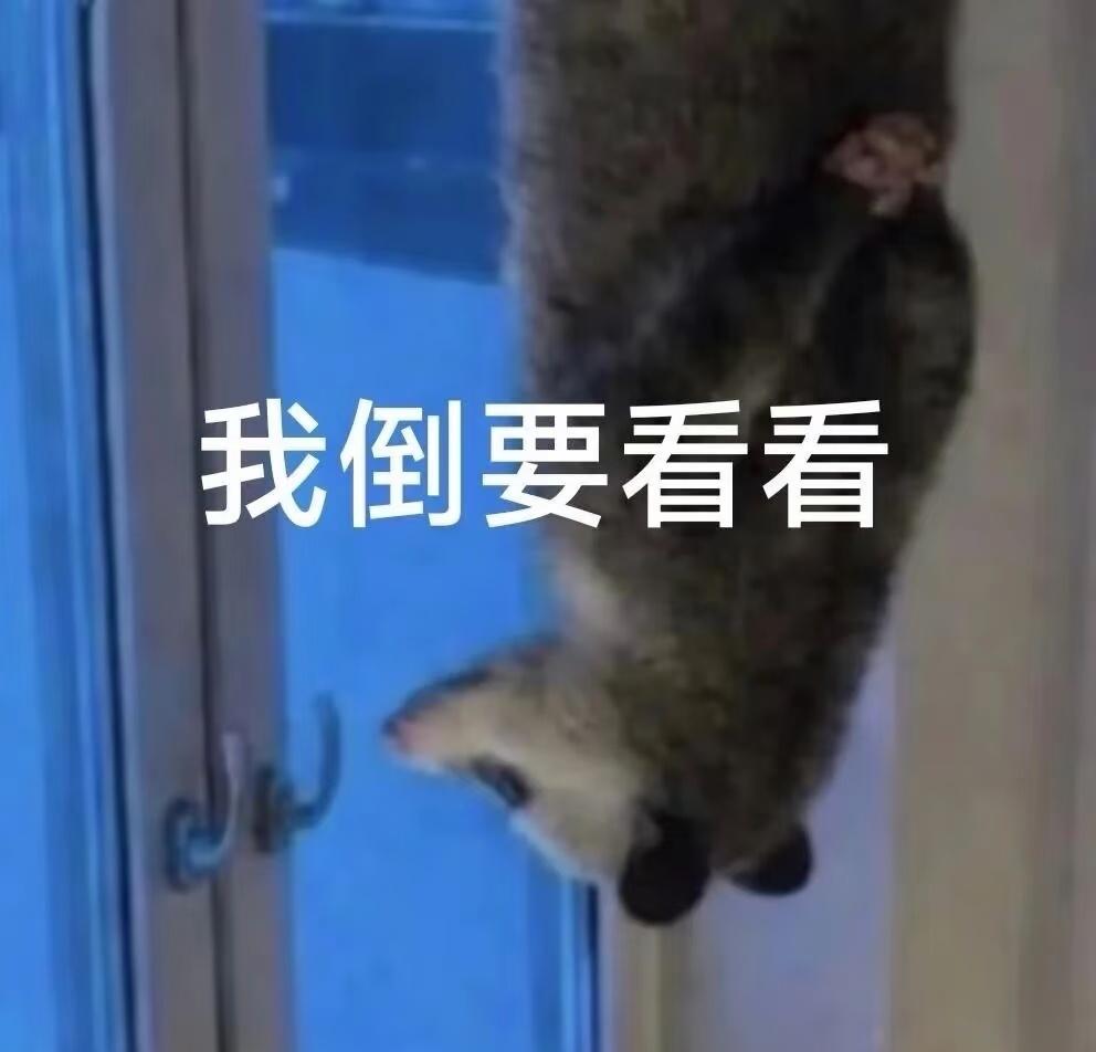 ​​​